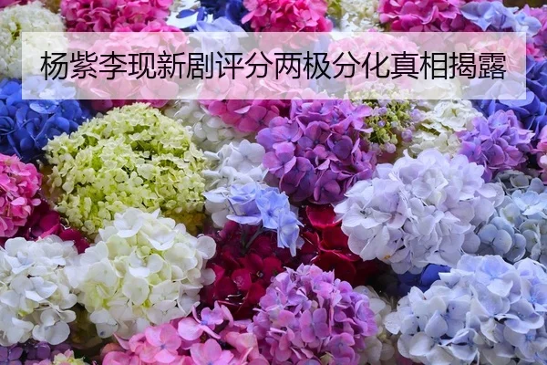 杨紫李现新剧评分两极分化真相揭露